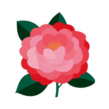 Camellia Flower, illustrated as a clean 2D flat vector icon isolated on a white background