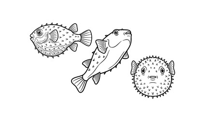 Stylized puffer fish black line art vector illustration with spiny marine fish characters © Farjana