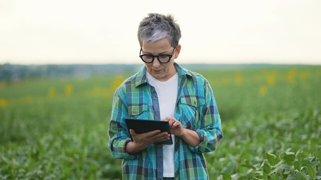 Mature woman farmer using a tablet in a green soybean field