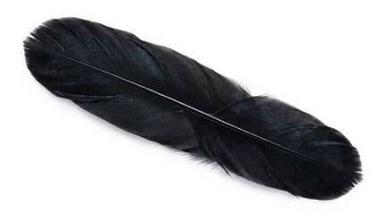 Black raven feather isolated on white background © Waqas
