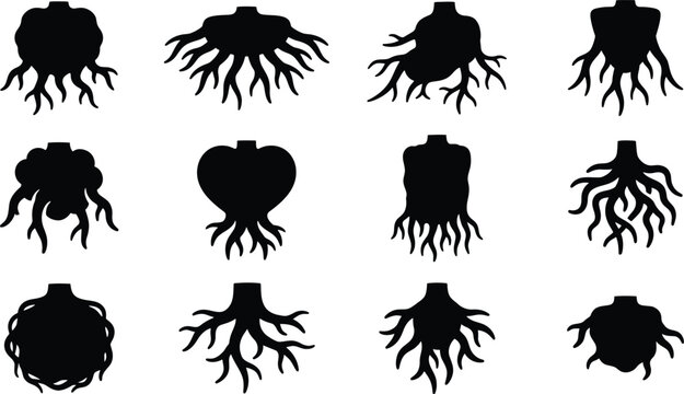 Root structure silhouette icon set for scientific illustration biology and conceptual design