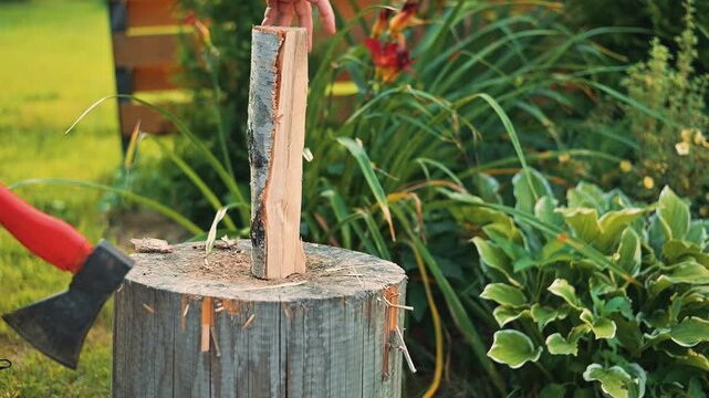 A person is using an axe to chop a piece of wood that is placed on a log in a garden. The surrounding area has green plants and grass visible