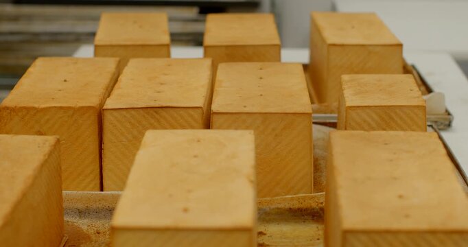 close-up view of uniformly shaped rectangular bread loaves arranged in orderly rows on metal tray or conveyor inside industrial bakery, loaves display smooth, with
