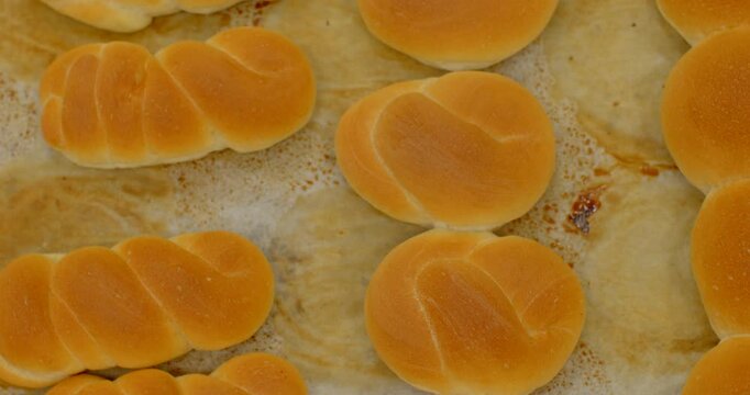 freshly baked dinner rolls sit stationary on parchment-lined baking tray showing braided and round shapes with even golden-brown crusts and light surface sheen bread