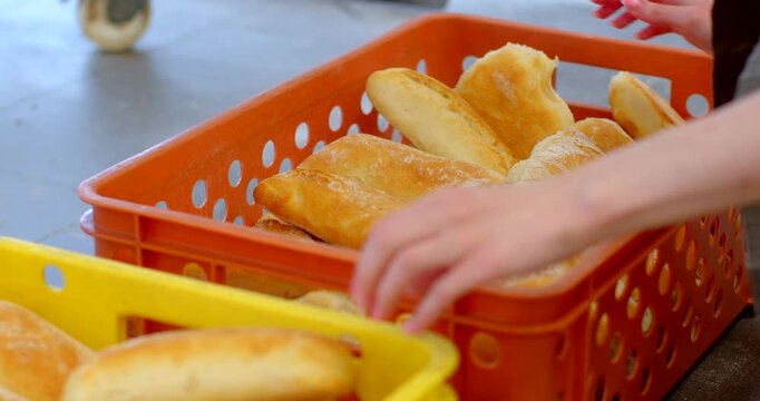 hands gently sorting and selecting golden-brown bread rolls inside orange perforated plastic crate on tabletop in bakery backroom, close-up, low viewpoint shows