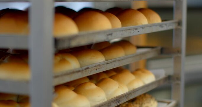 rows of golden plain rolls and seed-topped loaves resting on worn metal trays inside industrial bakery rack, shown from close eye-level side perspective, soft bakery