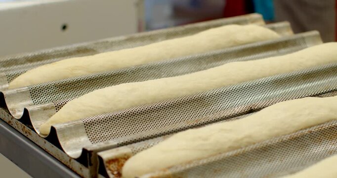multiple elongated raw baguette dough logs rest in curved perforated metal tray on stainless work surface, unbaked and uniformly shaped, soft even lighting, with