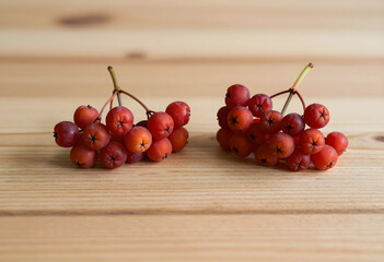 Obraz premium Autumn harvest and seasonal nutrition, fresh rowan berries on a wooden table for healthy organic food and natural medicine concepts in rustic kitchen