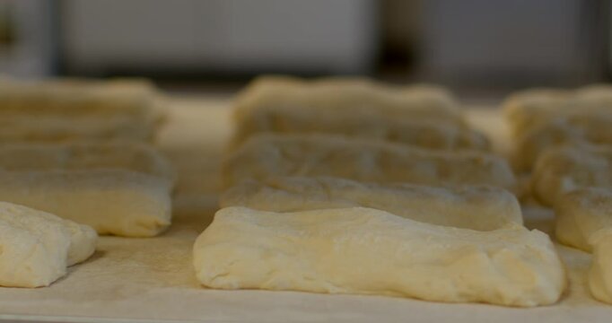 low-angle close-up of multiple unbaked dough portions arranged in orderly rows on floured parchment inside bakery setting, foreground pieces in sharp focus with
