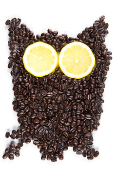 Creative food art of an owl shaped from roasted coffee beans with bright yellow lemon slices as eyes.