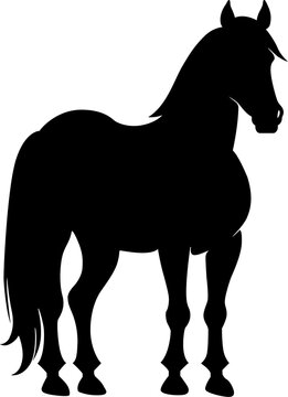 silhouette of a horse