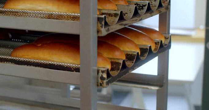 gloved hand reaches to remove finished golden-brown loaves resting in curved metal molds on stainless steel rack, showing handling step in bakery production, with