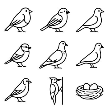 Robin icon garden woodpecker goldfinch blue bird vector icons sparrow dove blackbird