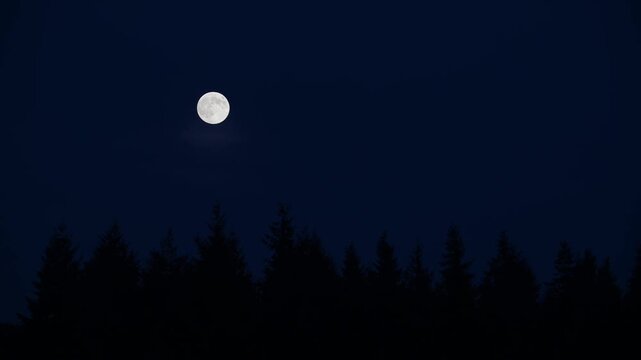 Full moon over a forest in winter, december, lower saxony, north germany