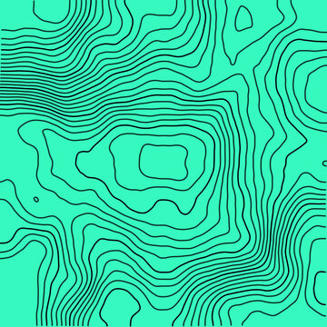 Lignes topographiques et courbes de niveau