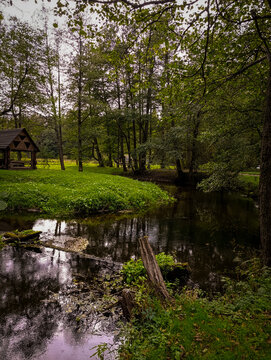  Peaceful wild river running along vibrant green meadows and forest trees