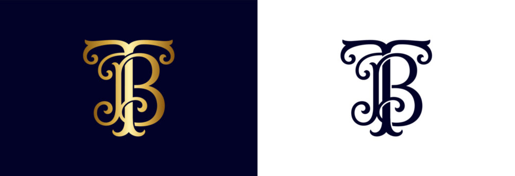 Elegant letter TB monogram in dark blue with gold decorative embellishments.