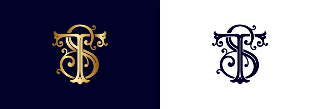 Stylized TS monogram in gold and navy for sophisticated branding.