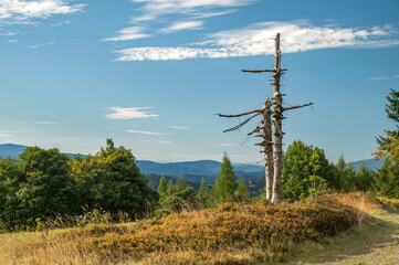 Beskid Mały © piotrwolak