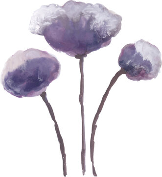 Three Purple Flowers Watercolor Illustration