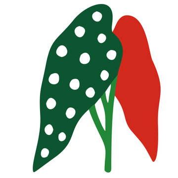 Plantas e Folhas para Projetos Criativos, Design, Decora&ccedil;&atilde;o, Estampas e Conte&uacute;dos Visuais