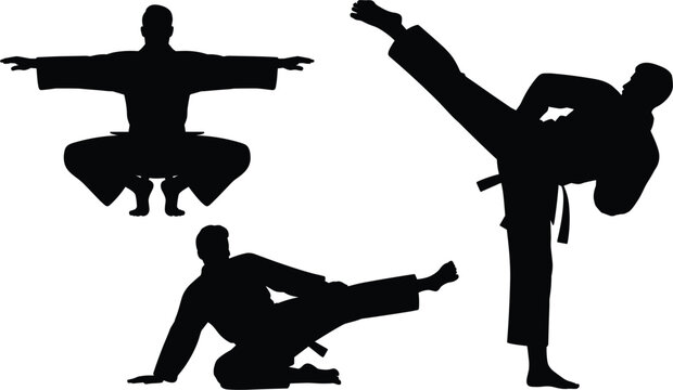 Collection of black silhouettes of martial arts practitioners in various fighting poses on a white background