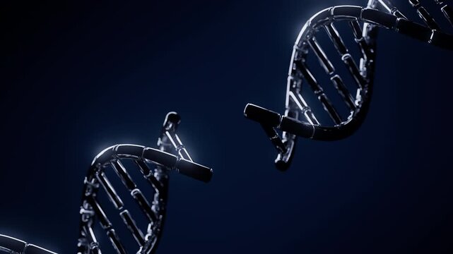 Abstract metallic DNA double helix genome CRISPR editing animation. Innovative genetic therapy simulation in dramatic dark space. Futuristic medical bioinformatics science. 4k UHD