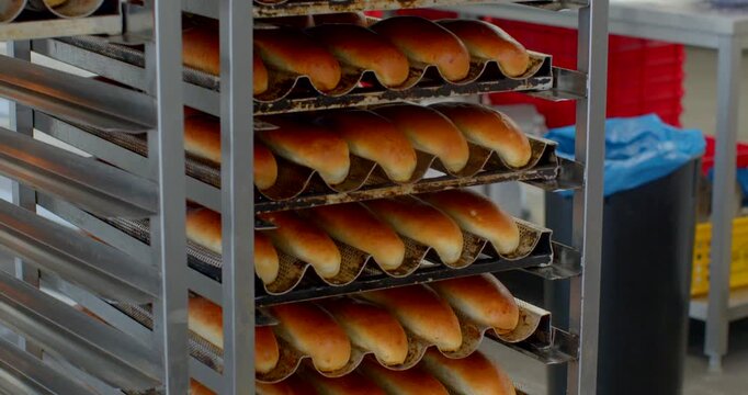 multiple rows of long baguettes resting on corrugated metal trays inside stainless steel rack in commercial bakery, mid-height close viewpoint shows even