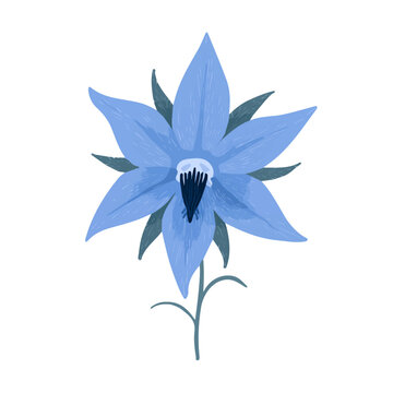 Clean 2D flat vector depiction of a Borage Flower, designed in minimalist modern style with white background.
