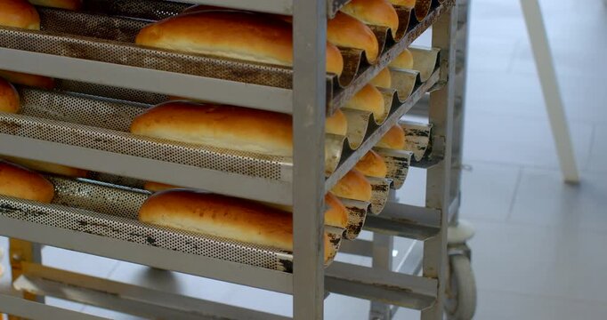 rows of golden loaves arranged on perforated metal trays inside wheeled multi tiered rack while worker sleeve and gloved hand handle rack edge