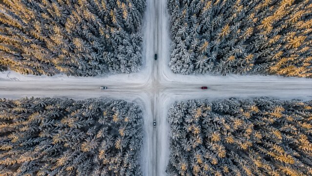 Top down aerial view of a snowy road intersection crossing through dense winter forest with four cars driving on icy roads and warm golden sunlight touching snow covered evergreen trees