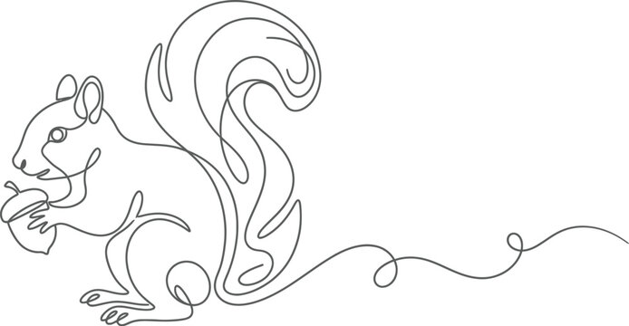 Minimalist continuous line drawing of a squirrel with acorn. Modern single line animal vector art. Simple squirrel silhouette for logos.