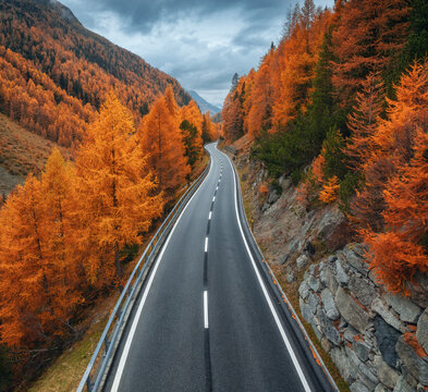 Aerial view of winding road in Swiss Alps, Switzerland. Bright orange larch forest in vibrant autumn colors with dramatic sky . Top drone view of alpine mountain road and orange trees. Transportation