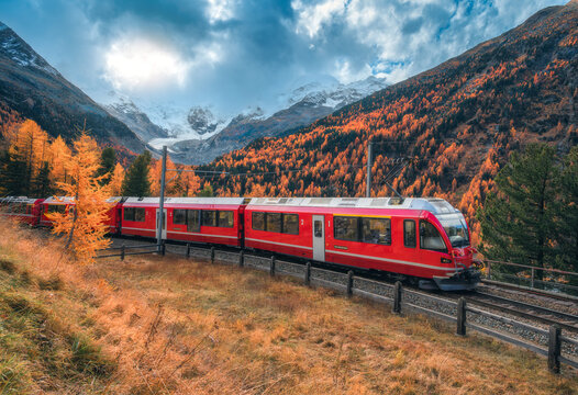 Red Bernina Express train passing through colorful autumn forest near Morteratsch glacier in the Swiss Alps, with dramatic clouds, golden trees and snowy mountain peaks in the background. Switzerland