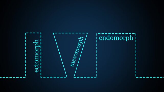 Body types icons set. Ectomorph, mesomorph and endomorph. Continuous one line drawing. Animation of 4k video.