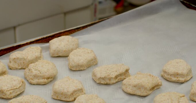 hands placing and spacing multiple unbaked whole grain biscuit rounds on parchment-lined sheet pan in commercial kitchen, pale beige dough with visible grain, with