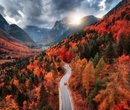 Aerial view of winding mountain road in forest at sunset in autumn. Alps, Italy. Curved alpine road, snowy rocks, trees, red leaves, dramatic cloudy sky with clouds. Colorful. Top view of road in fall