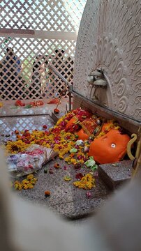 Floral Offerings at Hindu Temple Shrine