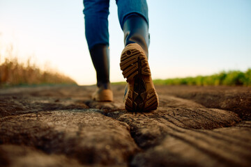 Farmer in boots walking on parched soil, inspecting crops affected by climate change and lack of...