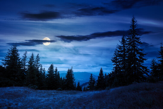 hill with coniferous forest on a meadow in mountains of Ukraine at night. full moon over Synevyr national park landscape, Transcrpathia in autumn. spruce trees under dark sky. view in to the valley