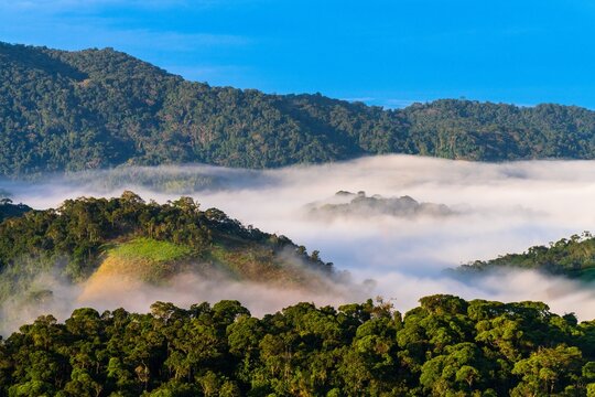 Morning fog rolling through the forested mountains and valleys of the Serra do Mar Atlantic Forest range in Brazil.