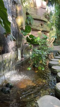 Small decorative waterfall with plants in greenhouse of Berlin Botanical garden in Germany