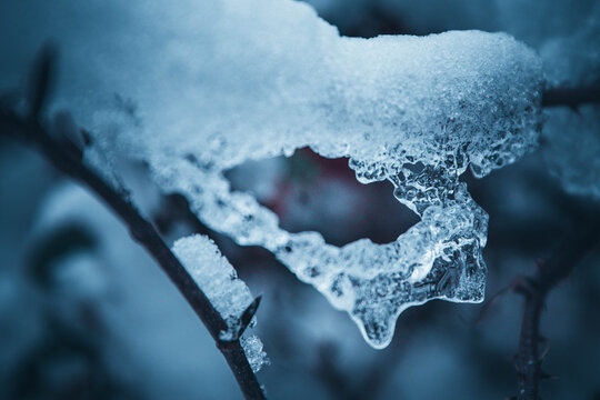 Winterwald Details, Schnee, Wald im Winter