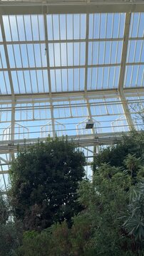 Beautiful interior of Berlin botanical garden glass greenhouse with huge collection of plants growing inside low angle view