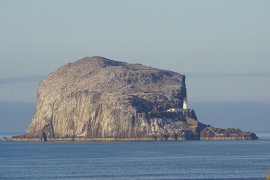 Bass Rock volcanic island and historic lighthouse surrounded by seabird colonies in the Firth of Forth, East Lothian, Scotland