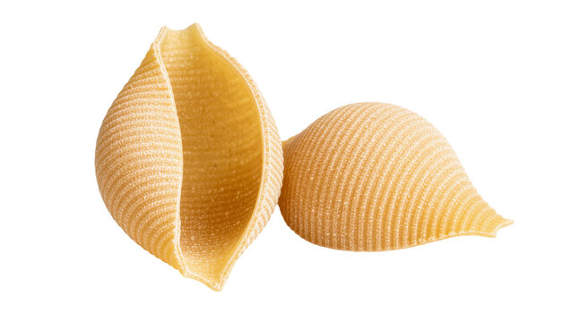 Two large ribbed conchiglie pasta shells, isolated on transparent background