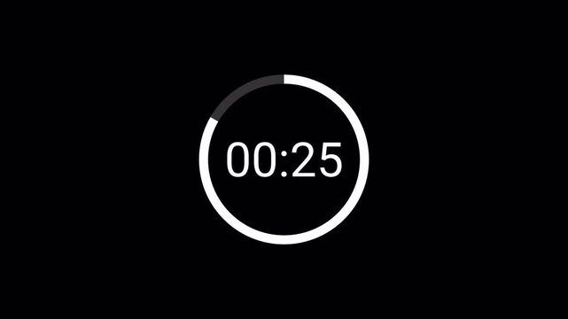 30 second Countdown timer animation from 30 seconds to 0 seconds on a transparent background. 30 seconds countdown timer with alpha channel in 4k