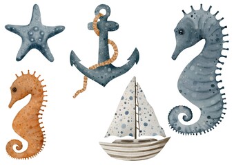 Watercolor nautical clipart set with anchor, seahorse, sailboat and starfish isolated on white background. © Viktoriia