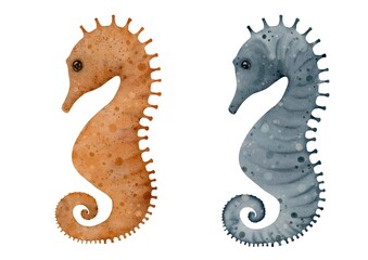 Hand-painted watercolor seahorses clipart, orange and grey seahorse set isolated on white background. © Viktoriia