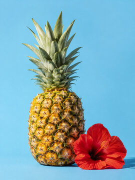 Fresh Tropical Pineapple with Red Hibiscus Flower on Bright Blue Background